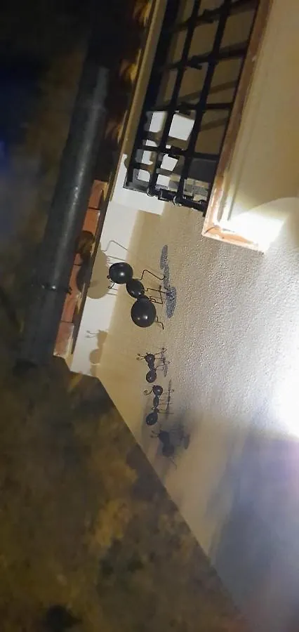Apartament El Nido De La Jaboneria Setenil De Las Bodegas